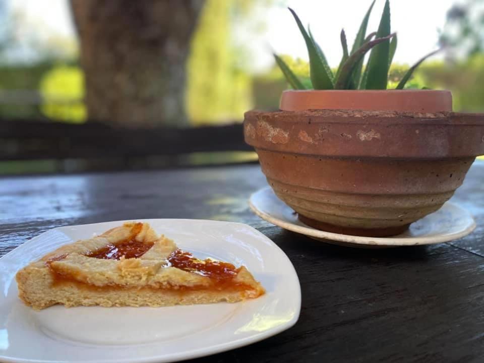 Il Melarancio Bed & Breakfast Pescia Romana Ngoại thất bức ảnh