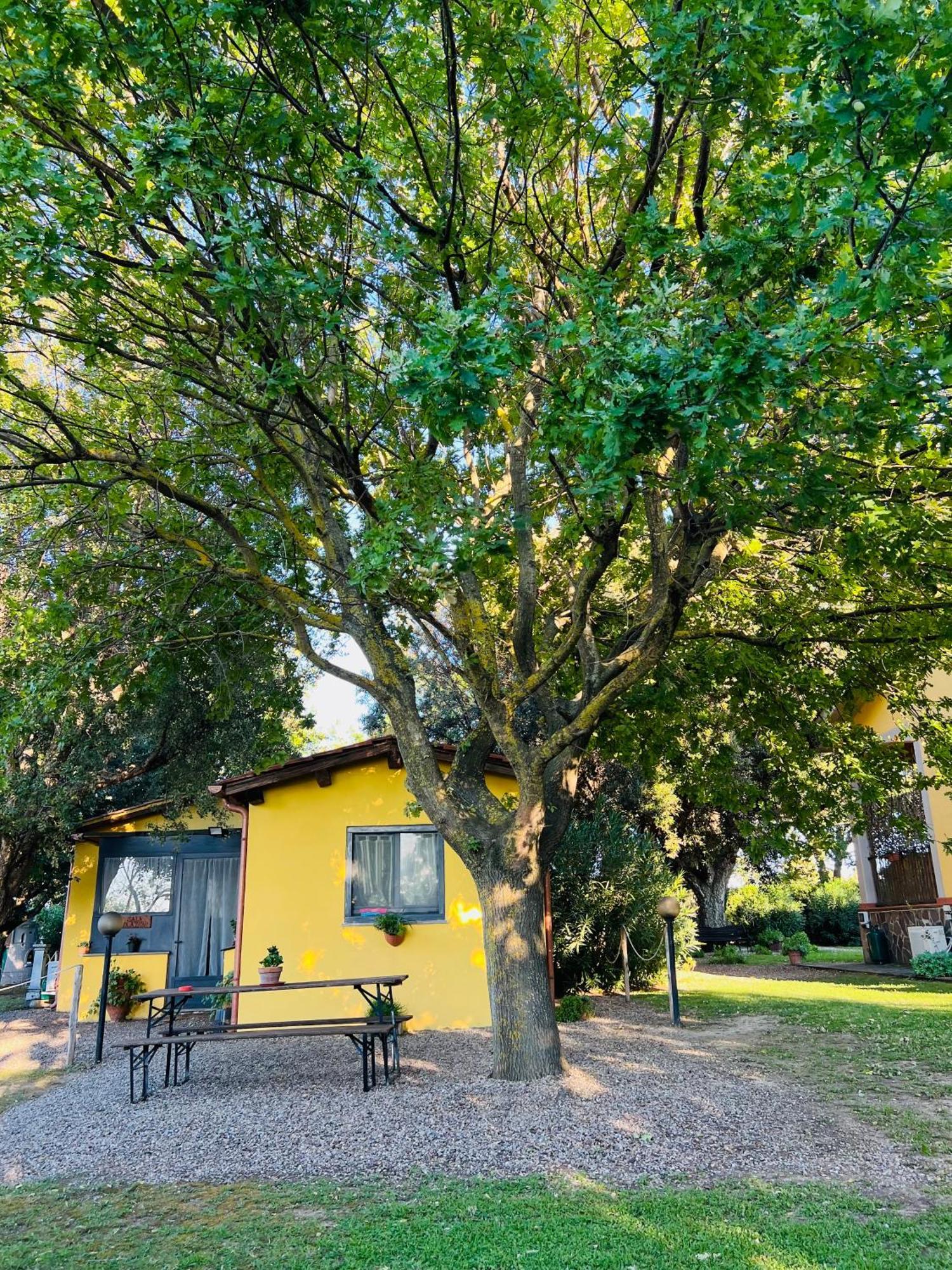 Il Melarancio Bed & Breakfast Pescia Romana Ngoại thất bức ảnh