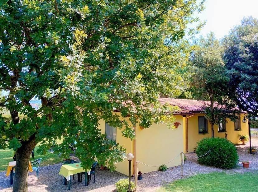 Il Melarancio Bed & Breakfast Pescia Romana Ngoại thất bức ảnh